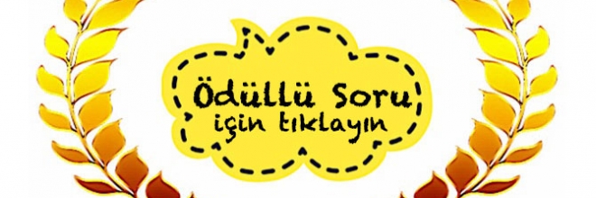 Ödüllü Soru